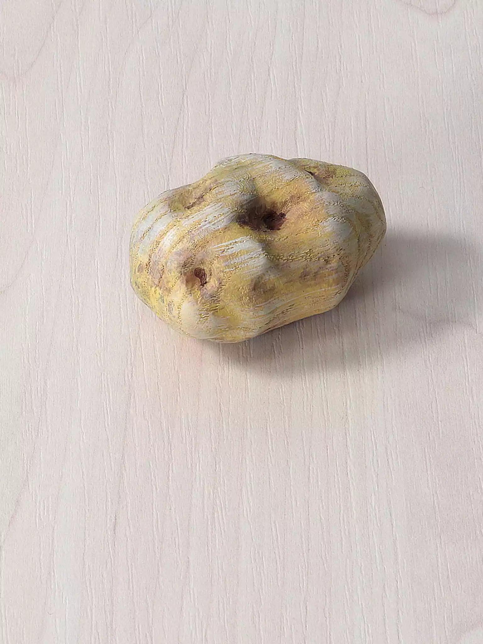 Wooden Vegetables Toy Set - Noelino Toys